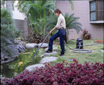 Matala Pond Vacuum II 