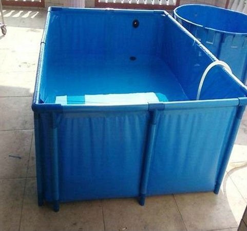 SHOW TANK/QUARANTINE SYSTEM W/ AIR  W/ EAZY POD FILTER