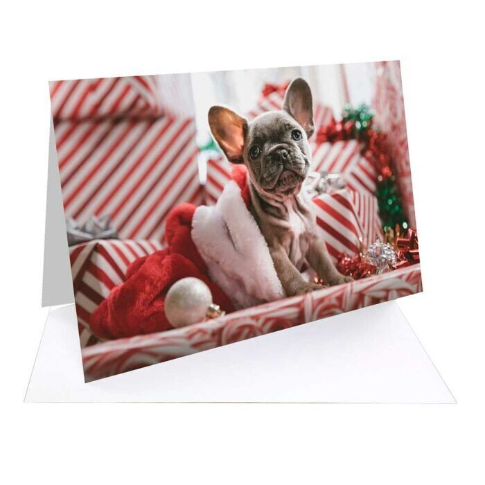 Fotospeed NST Bright White 315 Fotocards (A6 Finished Size, 25 cards)