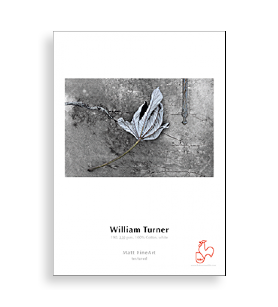 Hahnemühle William Turner 310 (A2, 25 sheets)
