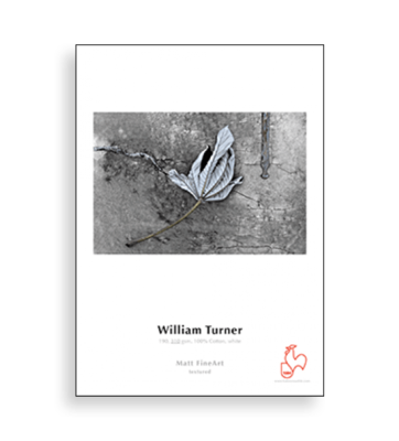 Hahnemühle William Turner 310