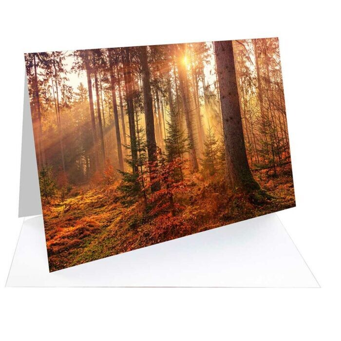 Fotospeed Matt Ultra 240 Fotocards (5 Fotospeed Matt Ultra 240 Fotocards (5" x 5" Finished Size, 50 cards)