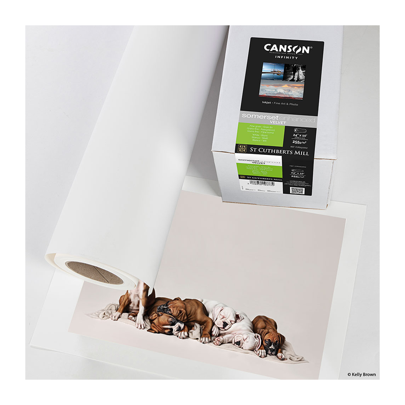 Canson Infinity Somerset Enhanced Velvet 255 (44", 12m roll)
