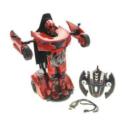 R/C Robots