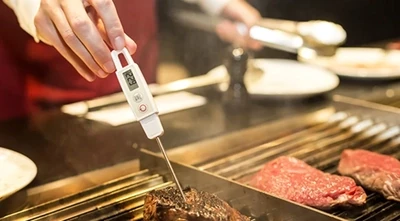 Thermometers