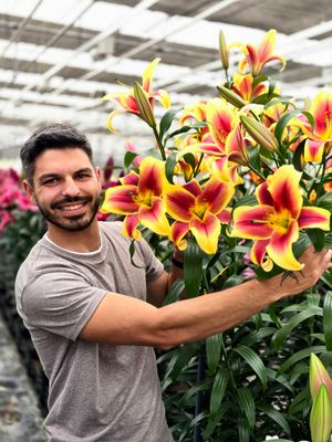 CRIN TIP COPAC - FLAVIA - Pachet 2 bulbi