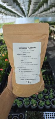  Secretul Florilor –Verde - Îngrășământ pentru creștere  1 kg