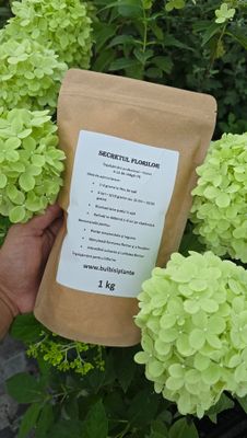 Secretul Florilor - Violet - Îngrășământ pentru stimularea infloririi - 1 Kg