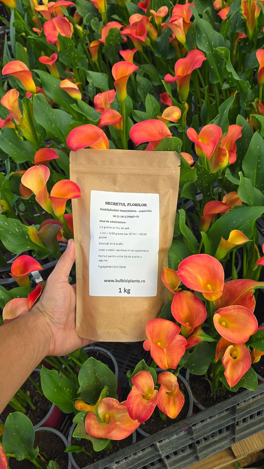 Secretul florilor - Albastru - Îngrășământ Echilibrat hidrosolubil Profesional 1 kg 