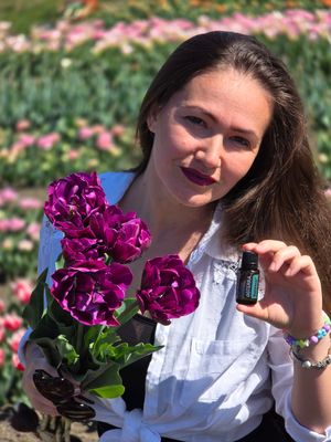 Lalele Negrita Double - 10 bulbi