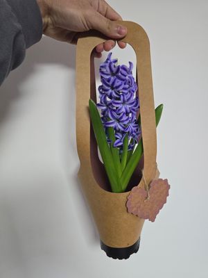 PLASĂ KRAFT - 250 buc 