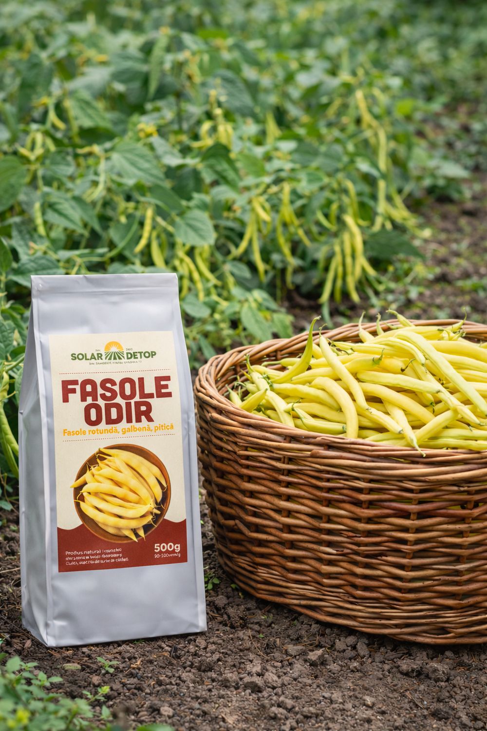 FASOLE LATĂ OLOAGĂ ODIR 500gr