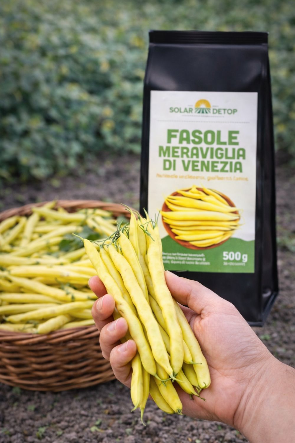FASOLE MERAVIGLIA di Venezia 500gr