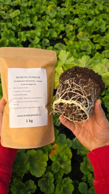 Secretul Florilor - Galben - Îngrășământ pentru stimularea sistemului radicular - 1 Kg