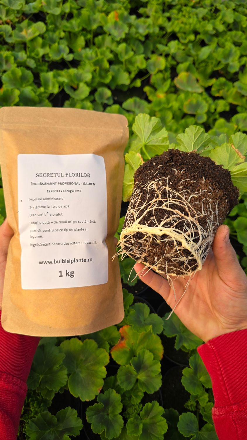 Secretul Florilor - Galben - Îngrășământ pentru stimularea sistemului radicular - 1 Kg