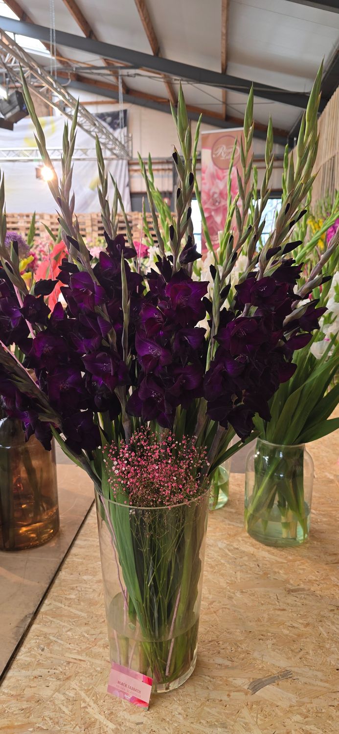 Black Sabbath - 10 bulbi