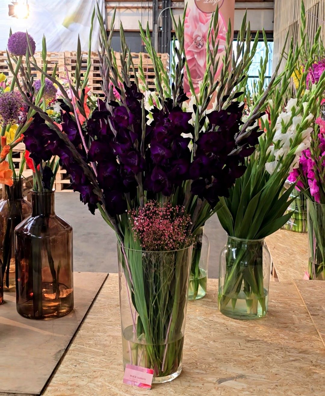 Black Sabbath - 10 bulbi