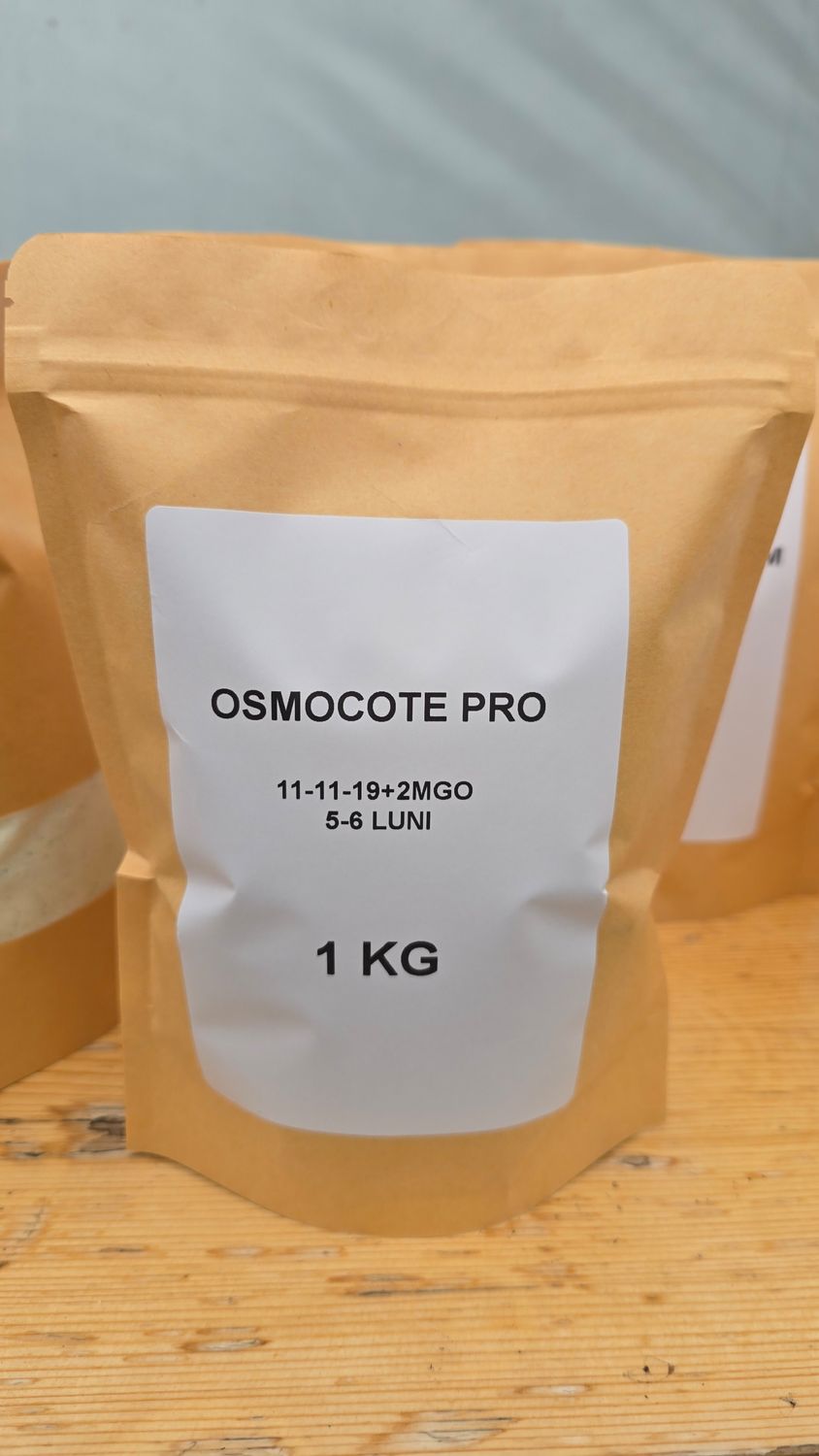 OSMOCOTE PRO 11-11-19+2MgO  5-6 luni 