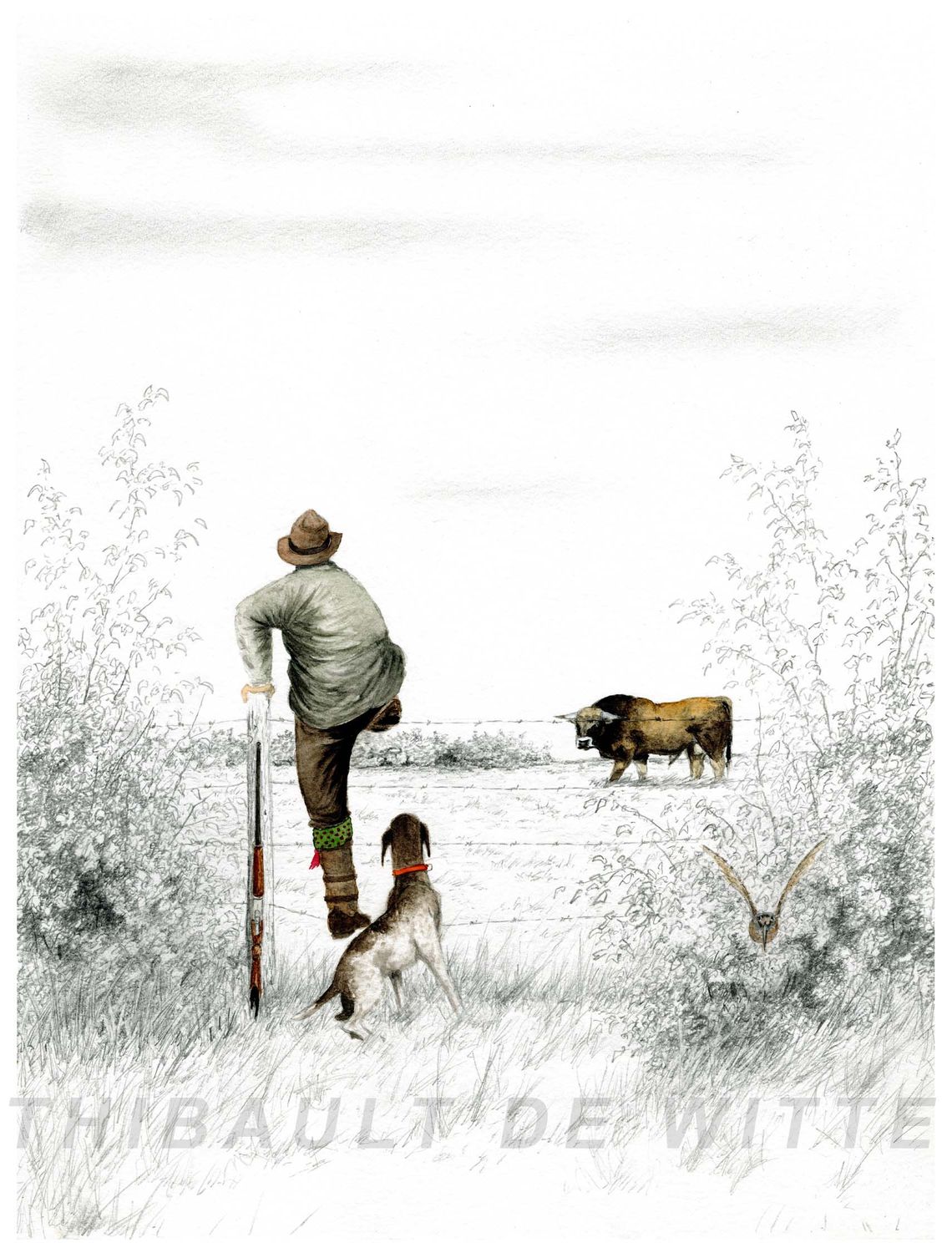 BECASSE AU CUL LEVE - 2