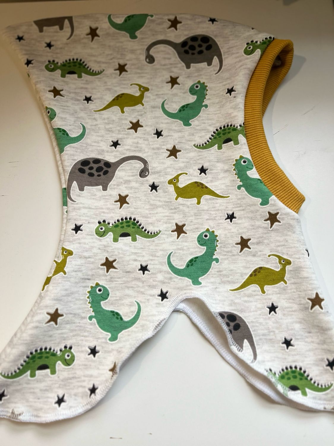 Little Dino Alpine Fleece Hoods