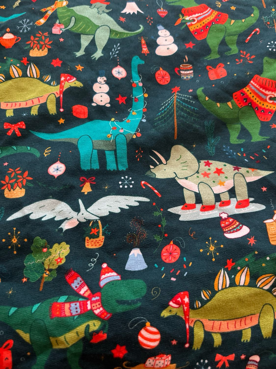 Christmas Dinos Leg Warmers