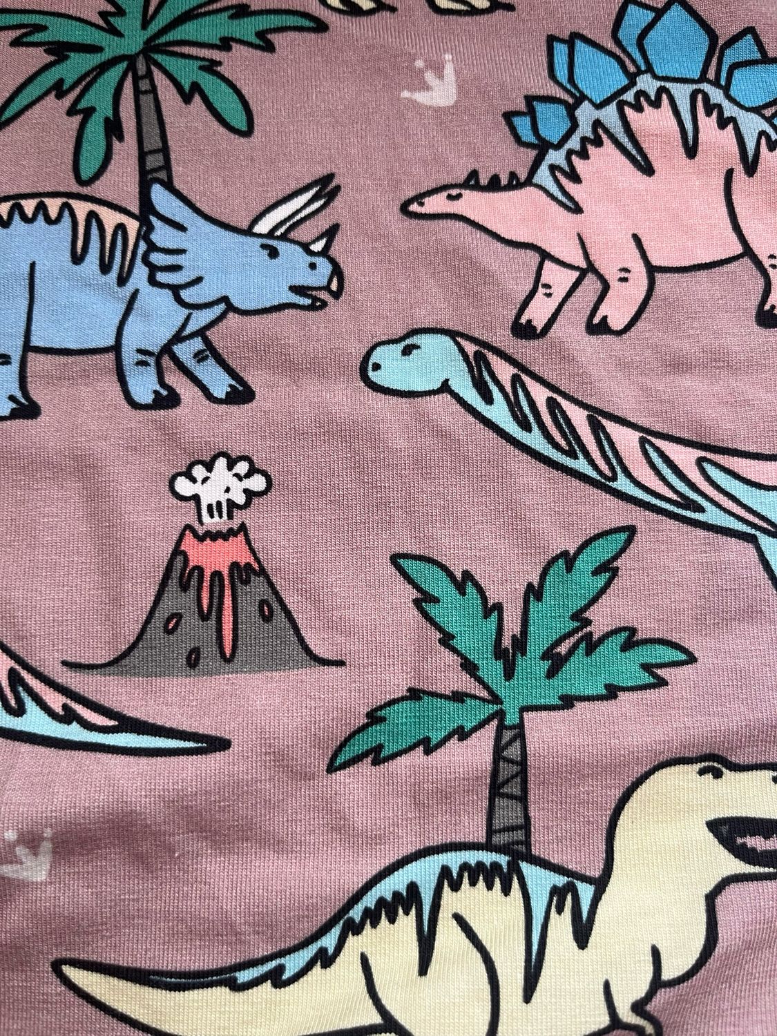 Dino Print Leg Warmers