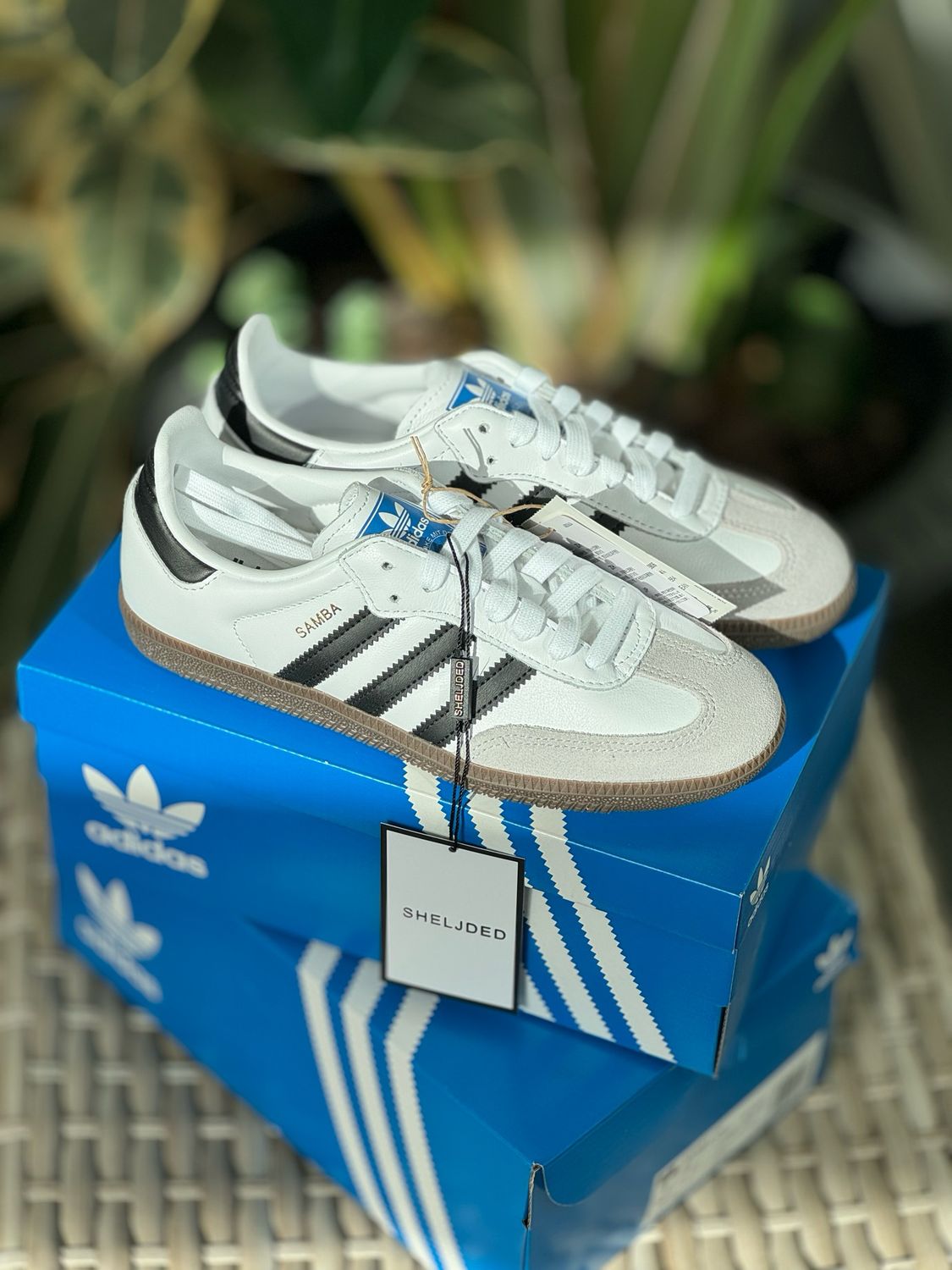 Adidas Samba Og White Sneaker