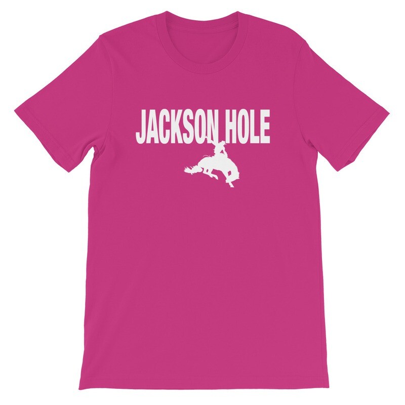 Jackson Hole Wyoming USA - T-Shirt (Multi Colors)