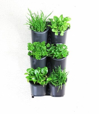 Holman Slim 6 Pot Vertical Planting Kit Holman Slim 6 Pot Vertical Planting Kit