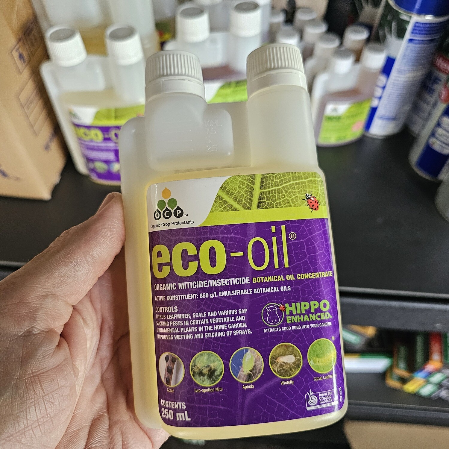 Eco Oil Hippo Concentrate, Eco Oil Hippo Concentrate: Eco Oil Hippo Concentrate 250ml