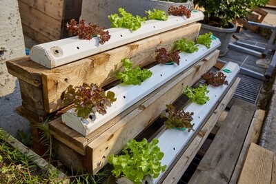 Hydroponics Bits &amp; Bobs