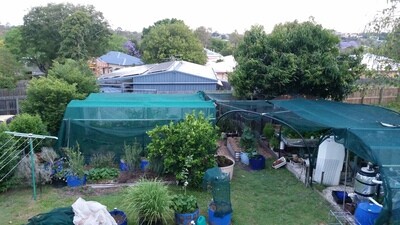 Backyard Farm Goodies