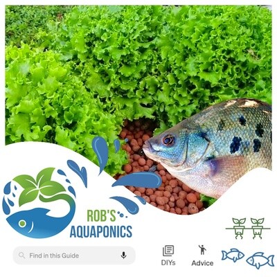 Backyard Aquaponics Online Guide