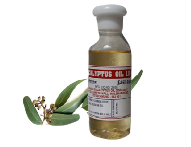 Nilgiri Eucalyptus Oil - 100 ML