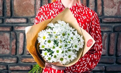 ქრიზანთემა | Chrysanthemum