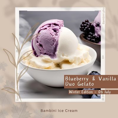 Blueberry &amp; Vanilla Duo 2L