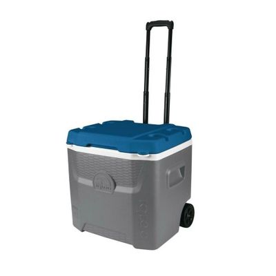 Igloo Ice Cube Roller