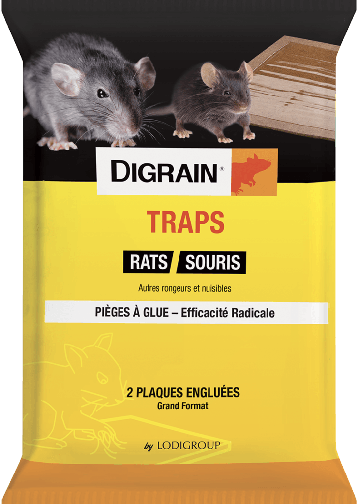 DIGRAIN piège à glue rats souris grand format x2