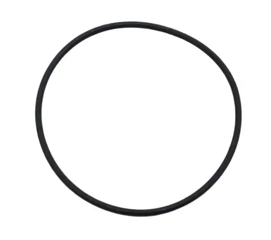 filter ex-air (AT1000) O-ring