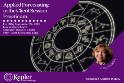 [COURSE] W113A Practicum: Applied Forecasting in Client Session W113A-22-23-1