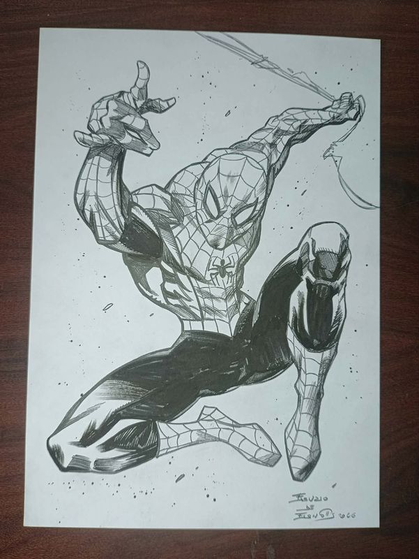 SPIDER MAN - INTO THE WEB SPIDER MAN - INTO THE WEB