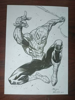 SPIDER MAN  - INTO THE WEB
