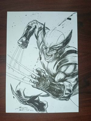 WOLVERINE - RAW POWER