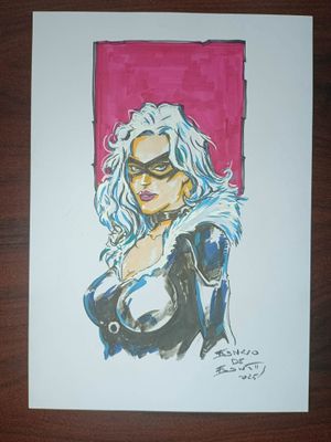 BLACK CAT - INTO THE PINK BLACK CAT - INTO THE PINK