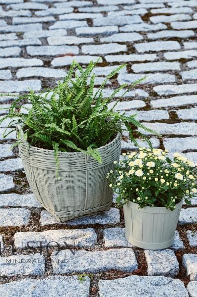 Lichen Fusion Mineral Paint Pint