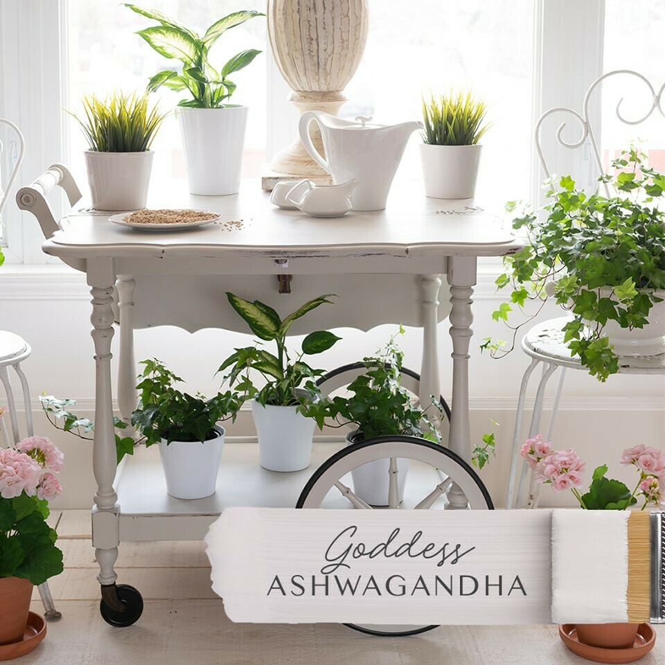 Goddess Ashwagandha Fusion Mineral Paint Pint