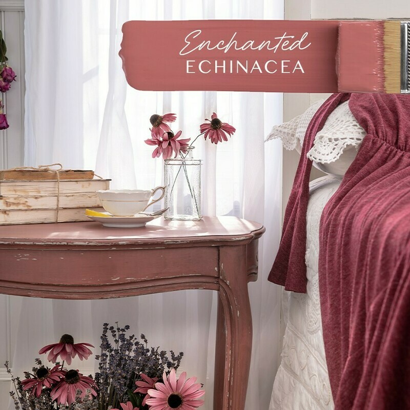 Enchanted Echinacea Fusion Mineral Paint Pint