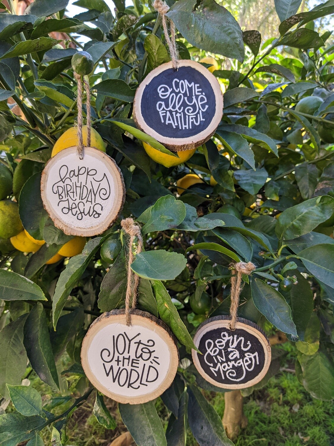 Religious Christmas Wood Slice Ornament Kit