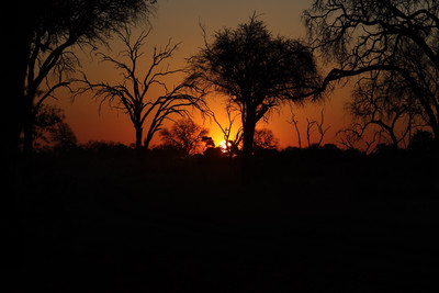 Limited Edition . Botswana Sunset 20x40 Stunning Metal Print
