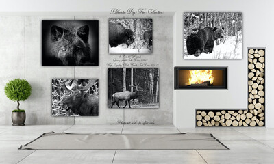 Alberta Big Five Collection (High Quality Mat Finish)Black And White 